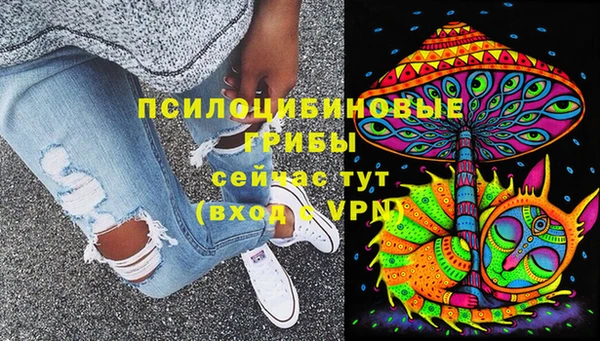 Альфа ПВП Пестово