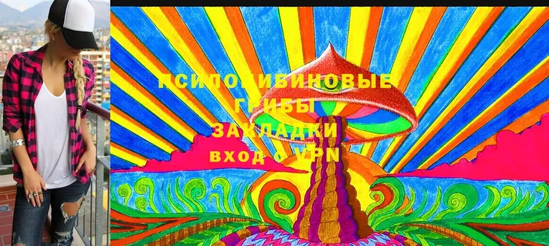 Псилоцибиновые грибы Cubensis  гидра ТОР  Кисловодск 