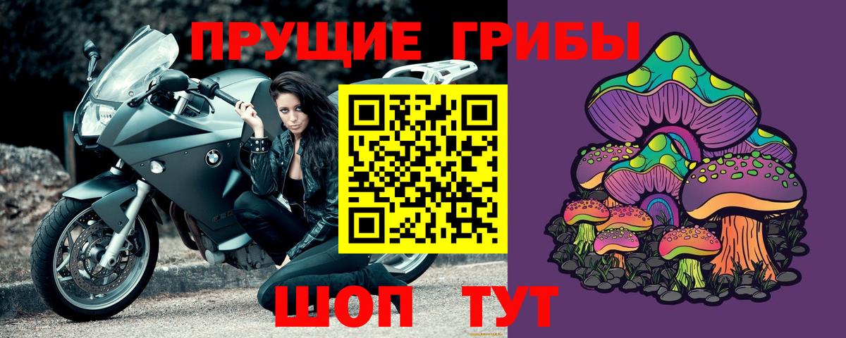 Галлюциногенные грибы Psilocybine cubensis  Вход с VPN  Кисловодск  Псилоцибиновые грибы Magic Shrooms 
