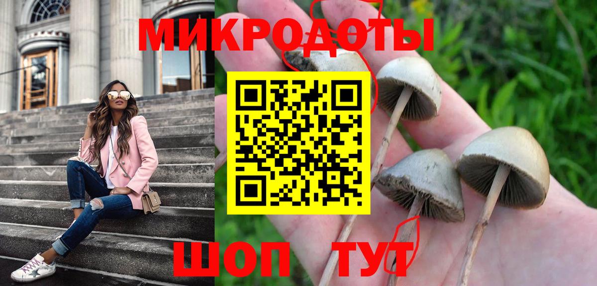 Галлюциногенные грибы GOLDEN TEACHER Кисловодск