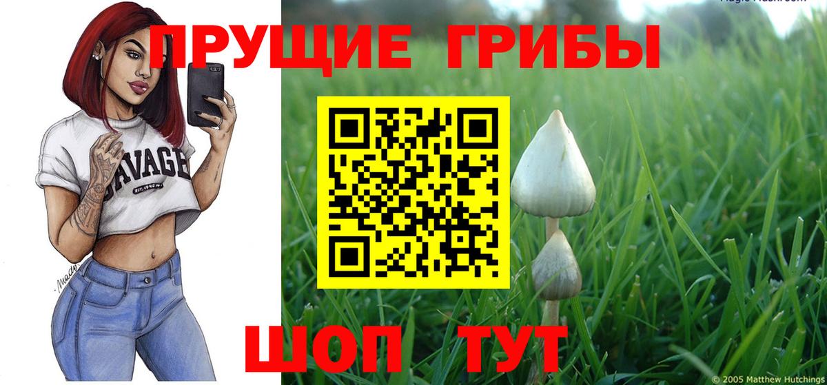 A PVP Кисловодск