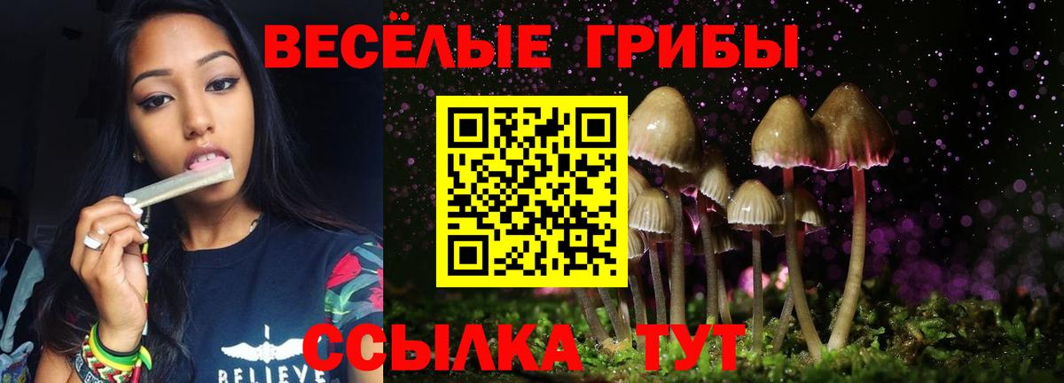 Псилоцибиновые грибы прущие грибы Кисловодск