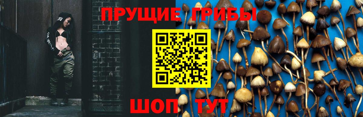 Галлюциногенные грибы MAGIC MUSHROOMS  Кисловодск  купить наркотики цена  Галлюциногенные грибы прущие грибы 